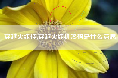 穿越火线机器码是什么意思？不可以开外挂？