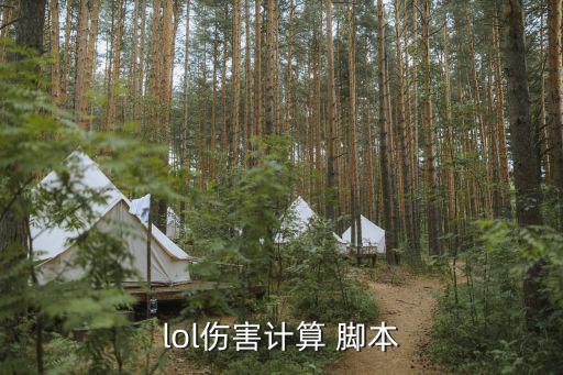英雄联盟脚本打一份报告需要多长时间？-3